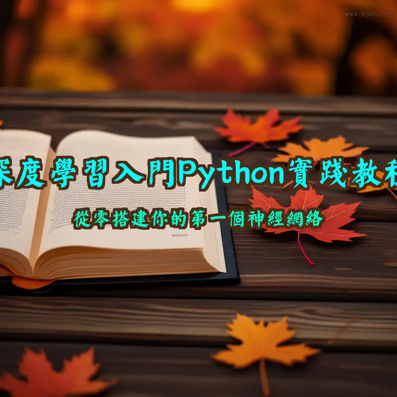 深度学习入门Python实践教程封面图